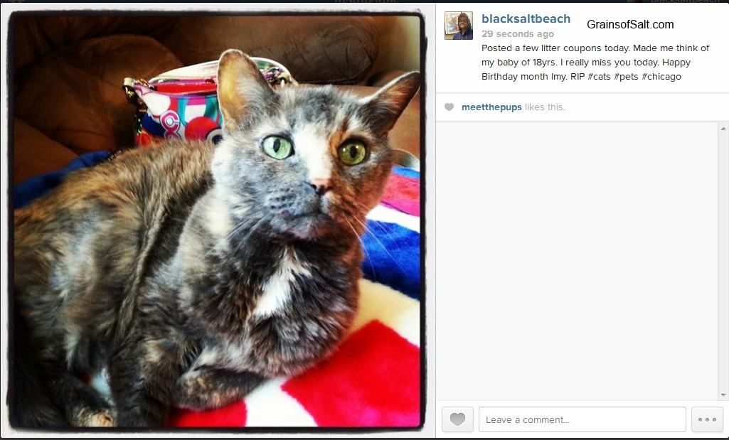 Another Instagram – Imy cat Happy Birthday Month R.I.P my love