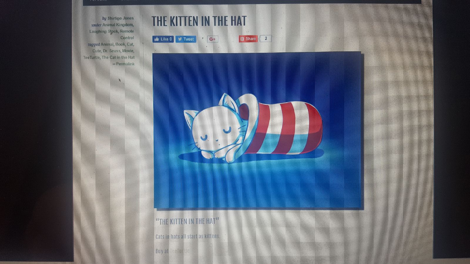 the kitten in the hat tshirt shirtigo