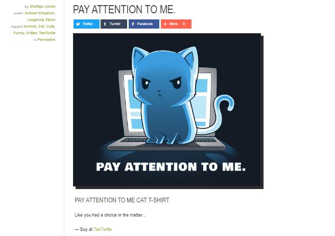 pay attention to me tshirt shirtigo teeturtle