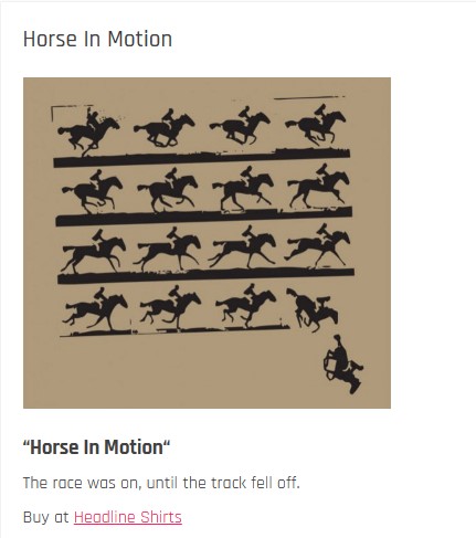 Horse in Motion Shirtigo Falling Downs