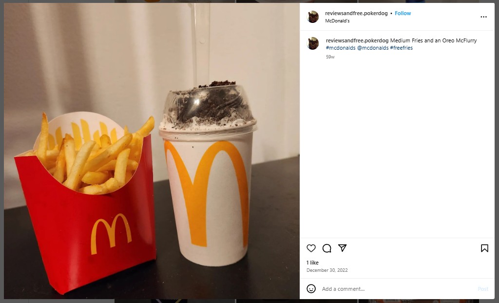 mcds fries and mcflurry