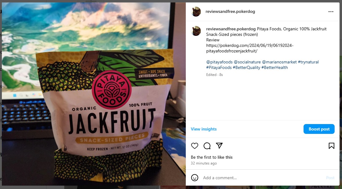 Pitaya Foods, Organic 100% Jackfruit Snack-Sized pieces (frozen)