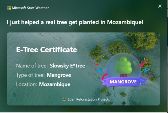 Microsoft Bing Start Weather E Tree