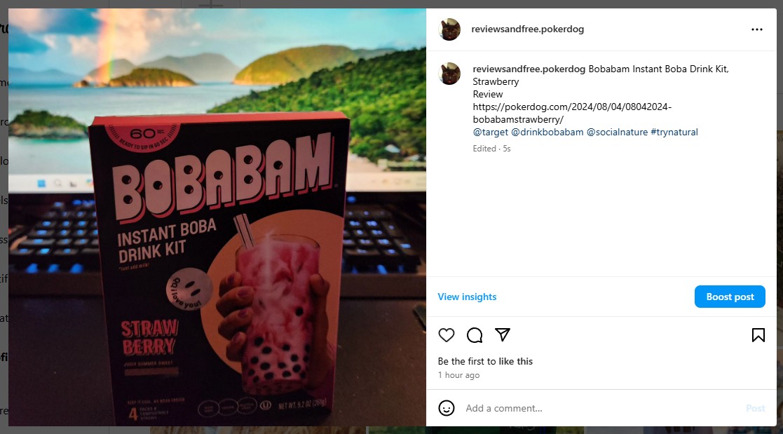 Strawberry BobaBam Instant Boba Drink Kit