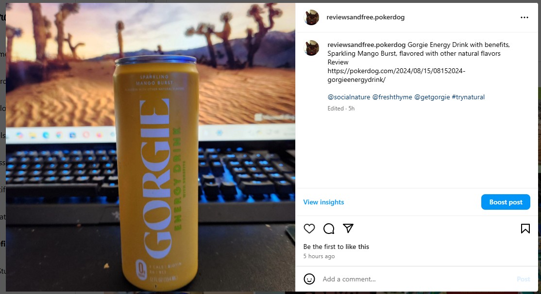 Gorgie Energy Drink with benefits, Sparkling Mango Burst, flavored with other natural flavors