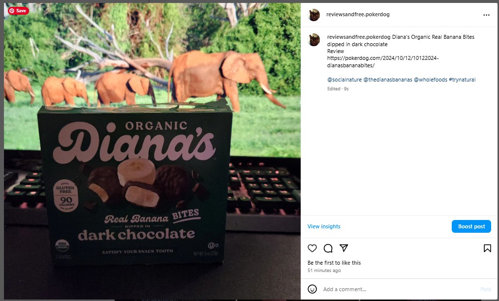 Diana's Organic Real Banana Bites dipped in dark chocolate