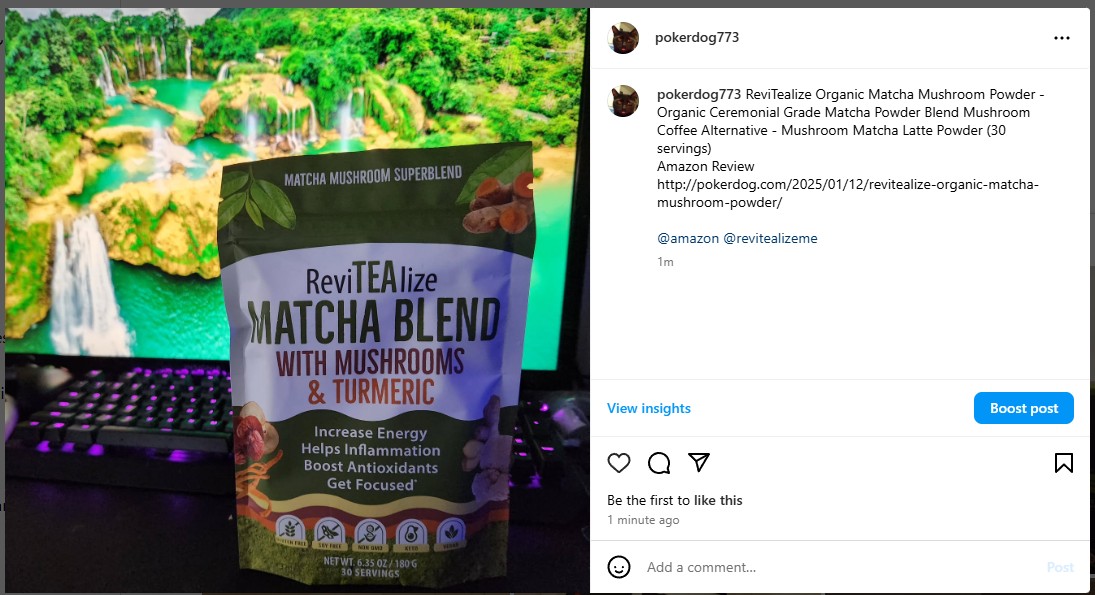 ReviTEAlize Organic Matcha Mushroom Powder