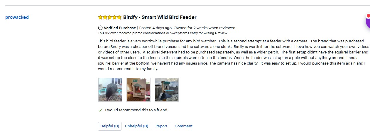 Birdfy Smart Bird Feeder Review