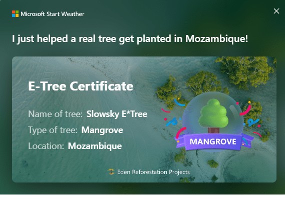 Bing MSN Start Weather E-Tree Number 5