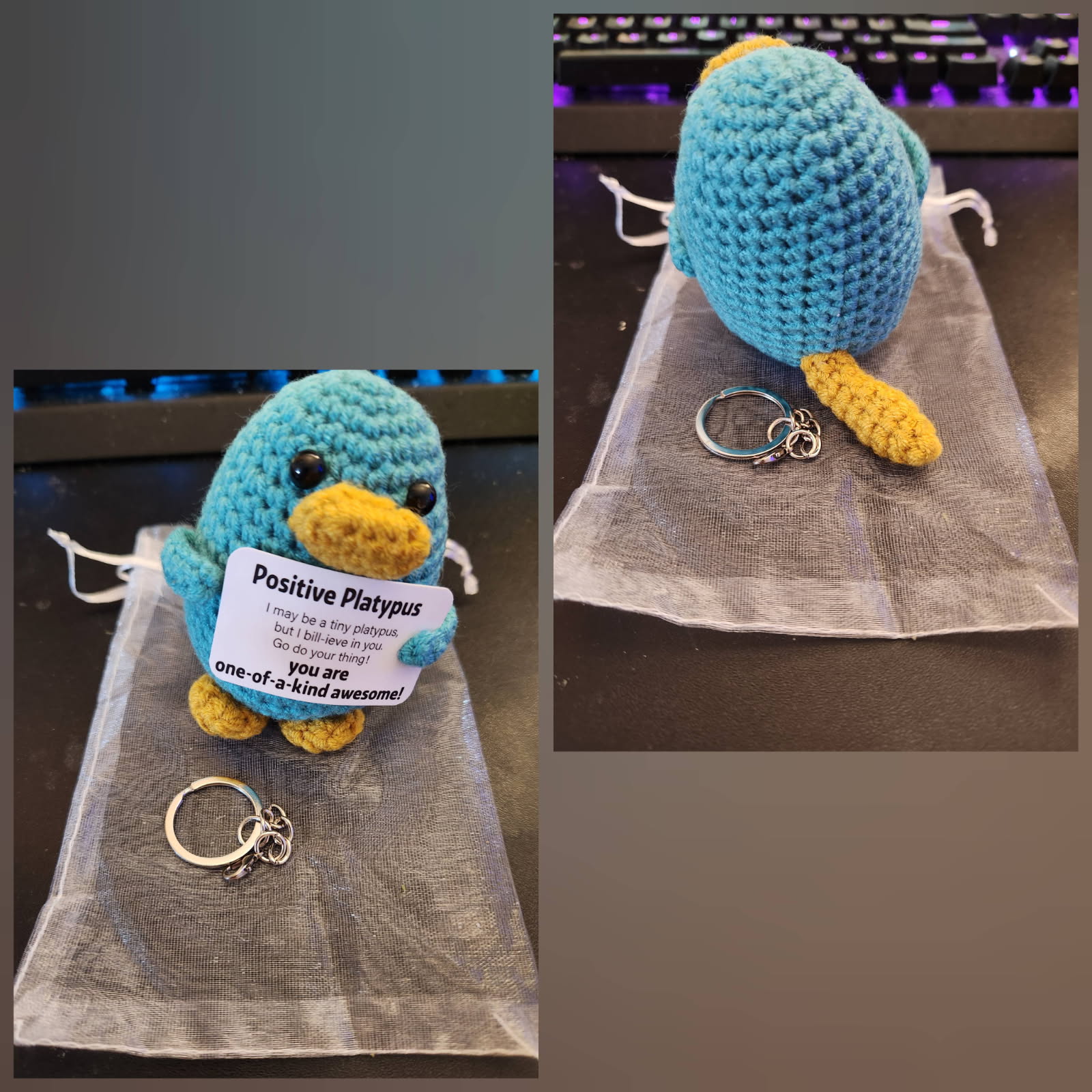 08 25 25 -crochet platypus