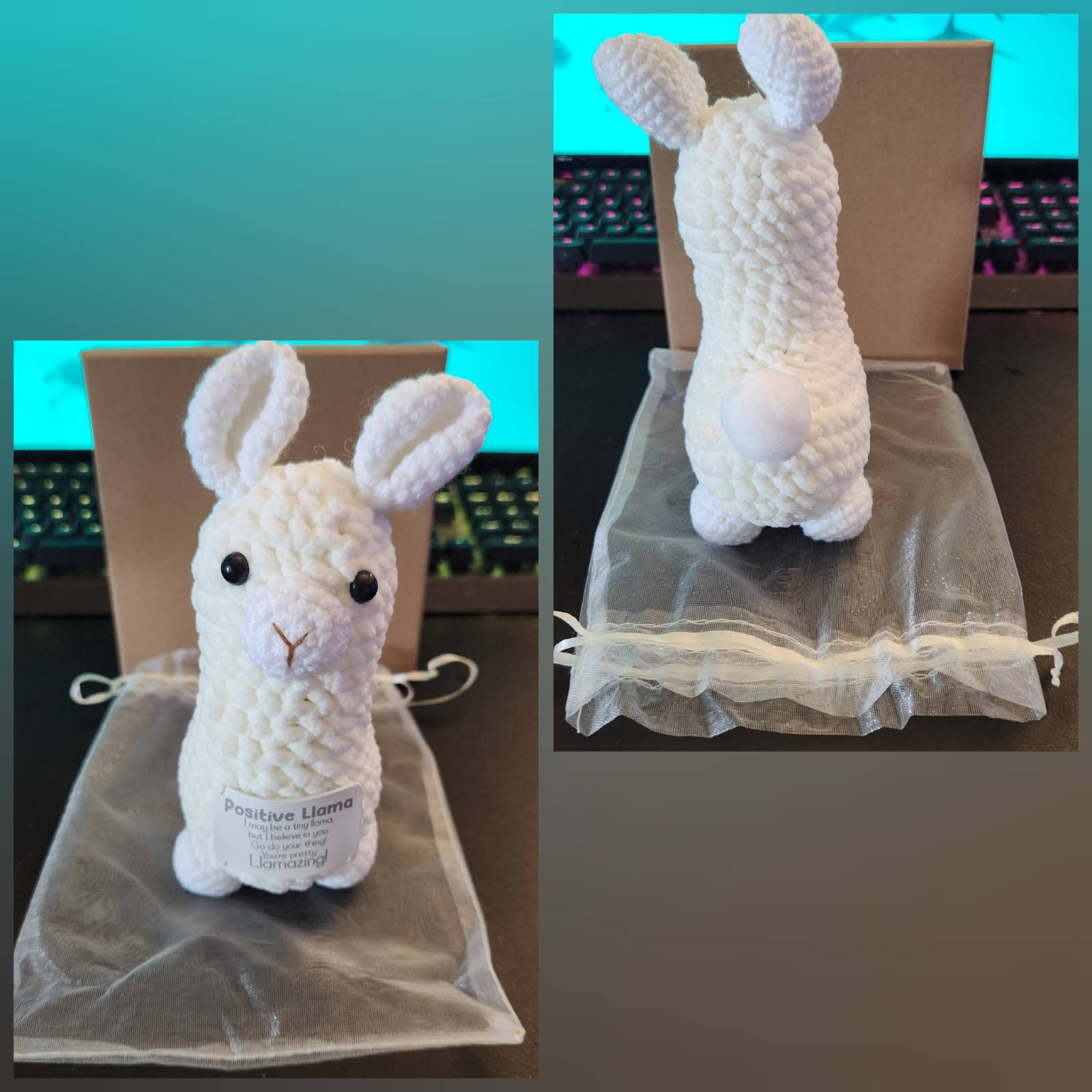 10 03 25 -crochet positive llama