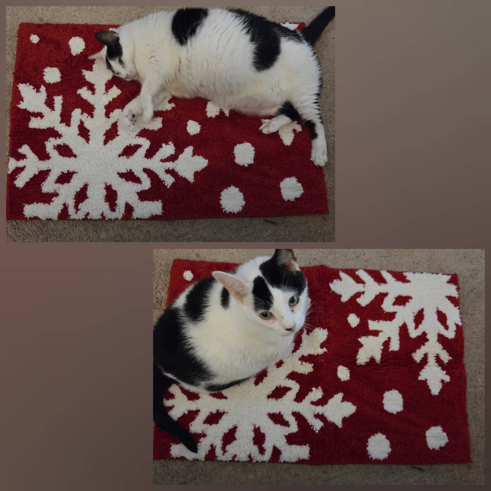 REFGY Christmas Snowflake Bathroom Rug