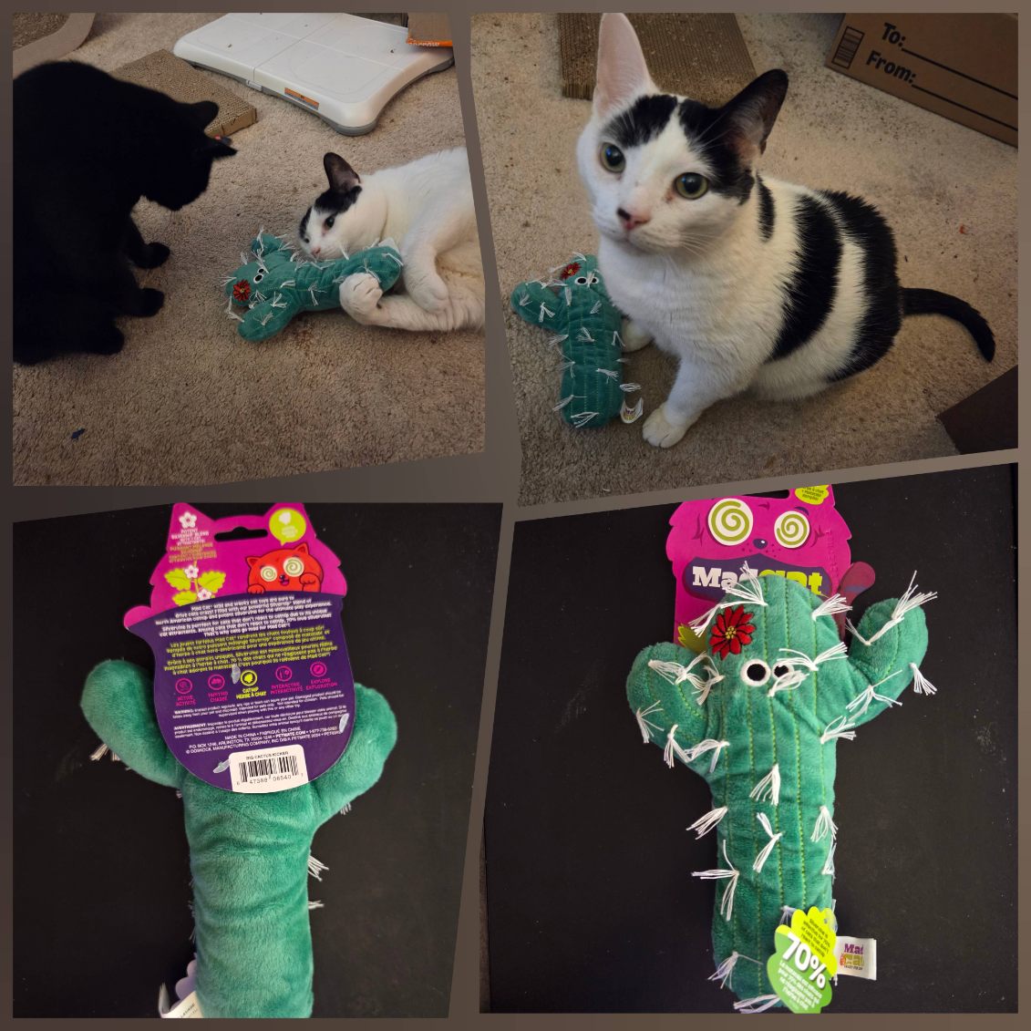 Mad Cat Big Cactus Kicker Catnip & Silvervine Crinkle Cat Toy