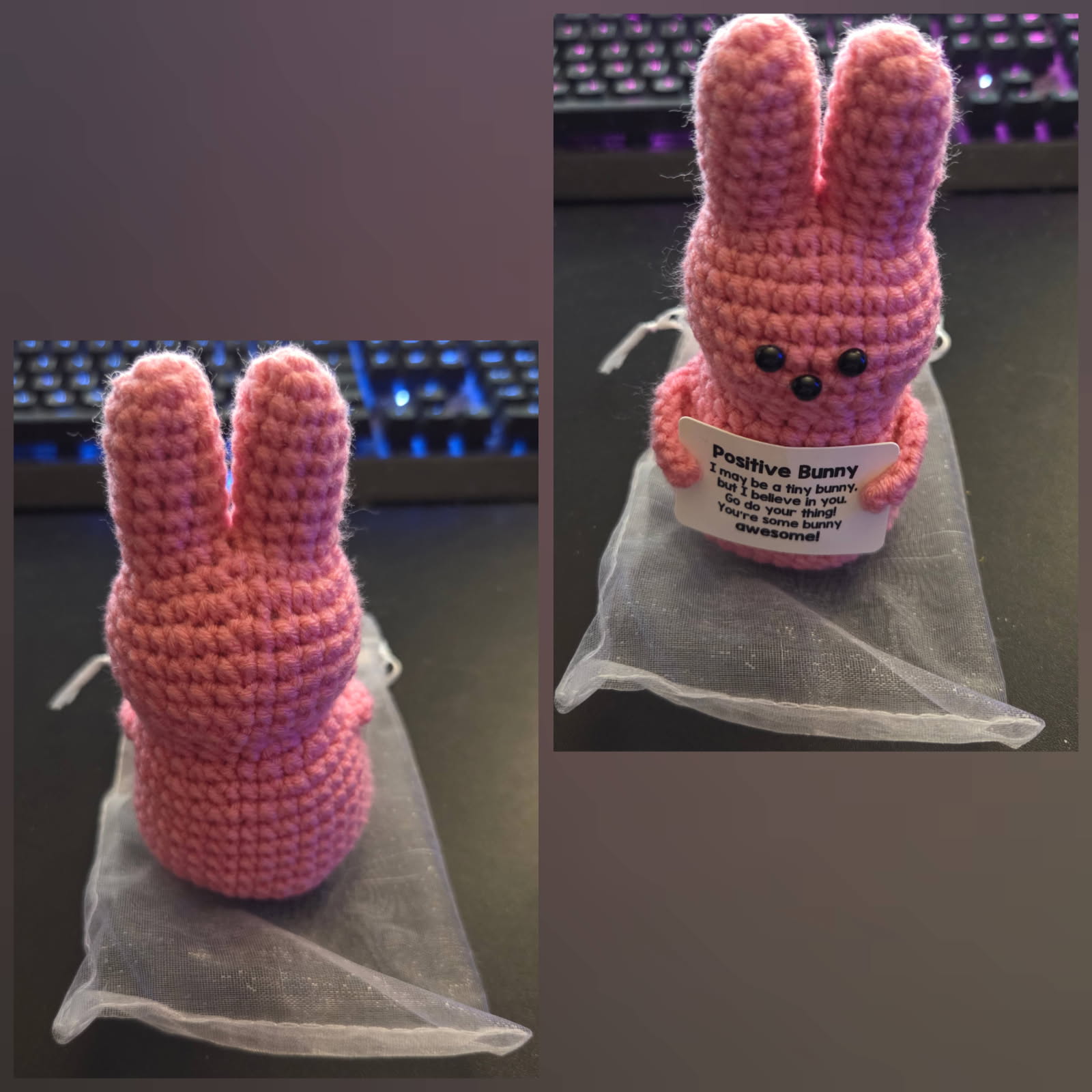 Royid Emotional Support Positive Bunny Crochet Animal